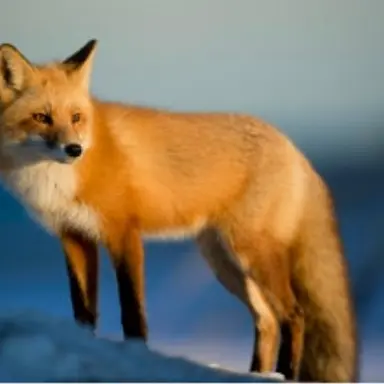 Profile image of 최하민