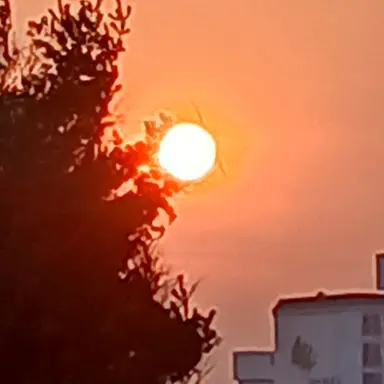 Profile image of 김여우