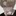 박가온