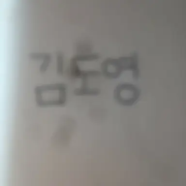 Profile image of 김도영