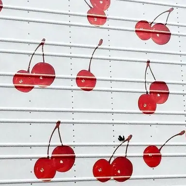 Profile image of 이설