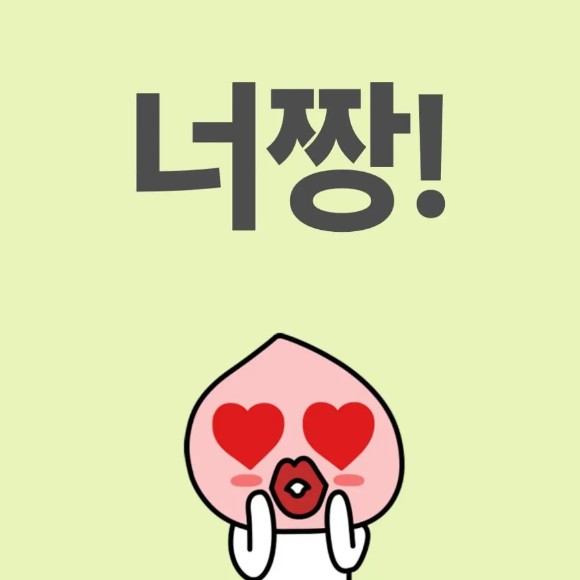 ddf_u5의 방랑자