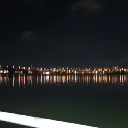 ScaredBatch1084의 뚜아뚜지X토깽이네X유유타이거