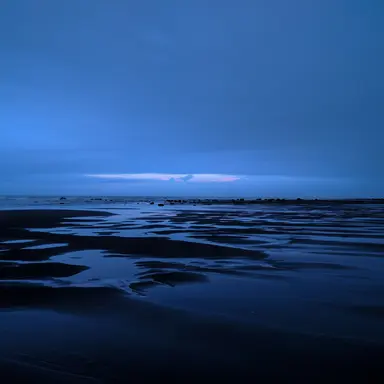 Profile image of 007n7