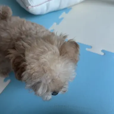 Profile image of 무이치로