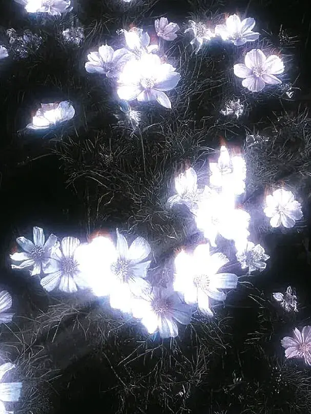 微賤을 사모思慕한 대표 이미지