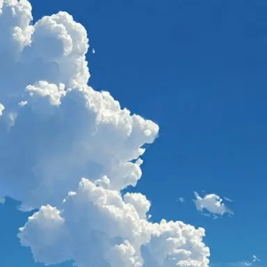 Profile image of ジャミーン
