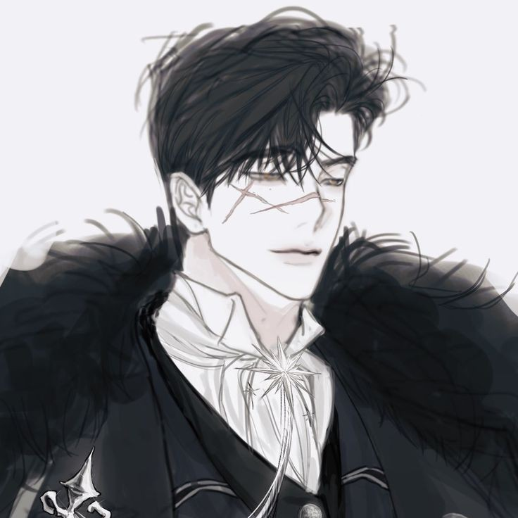 디엘 레빈체르 대표 이미지