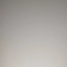 高内恭太