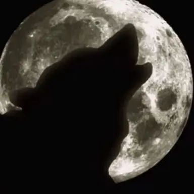 Profile image of 늑대