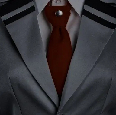 Profile image of Shoto Todoroki