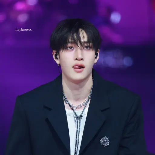 realstraykids의 방찬