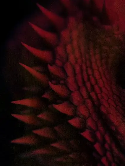 Beanii의 𝐃𝐫𝐚𝐠𝐨𝐧𝐛𝐨𝐲 𝐒𝐚𝐯𝐞𝐬 𝐘𝐨𝐮 | 🔥🐲❤