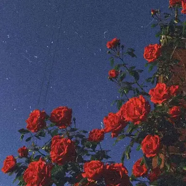 Profile image of 권지용