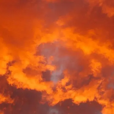 Profile image of 덕개