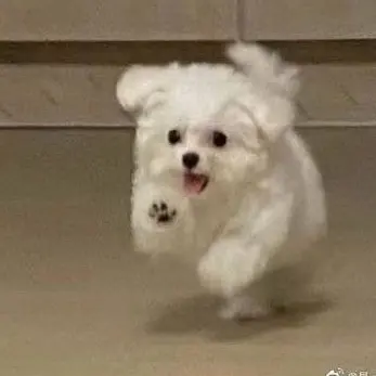 Riki_01124의 どぎょむ