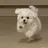 どぎょむ