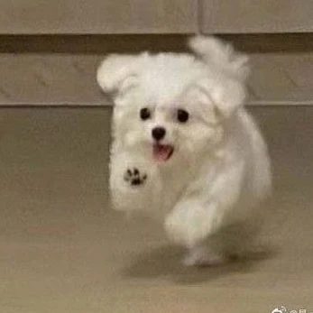 どぎょむ