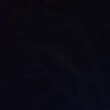 Profile image of 뜰팁