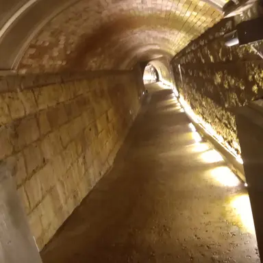 Profile image of 최승현