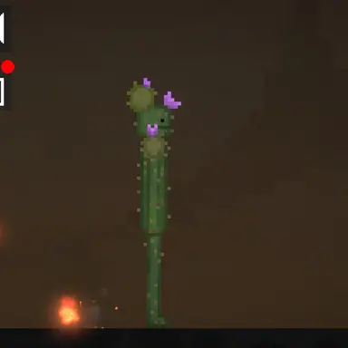 Profile image of 선인장