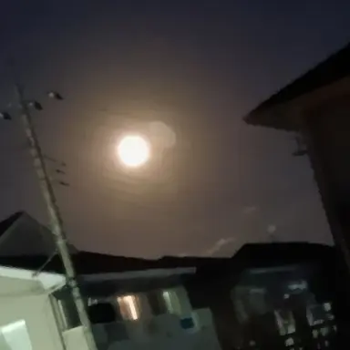 Profile image of フェリシアーノ