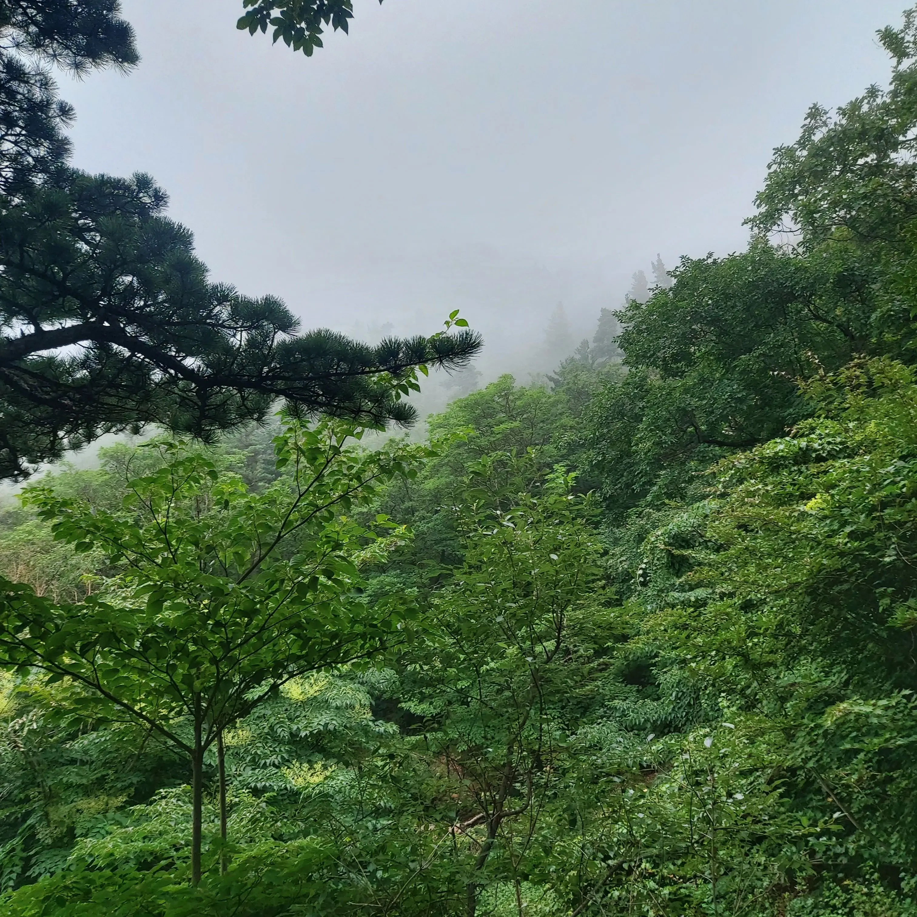 RearCage1594의 미겜즈 꽥꽥 탐험대 고등학교