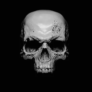 Profile image of Skull Head-Narrator