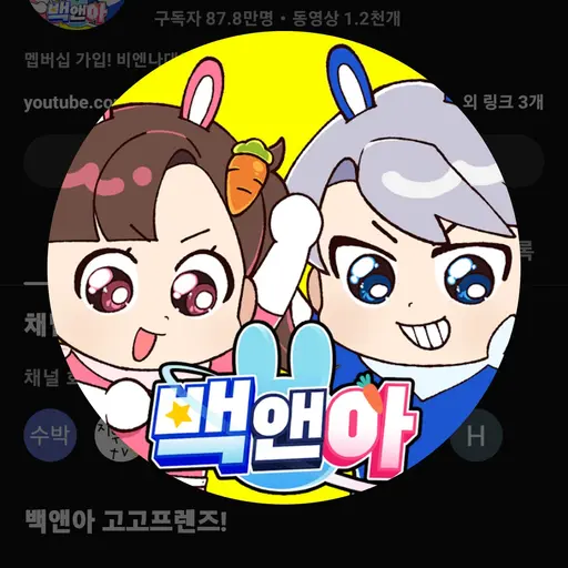 NativePeak1623의 백앤아