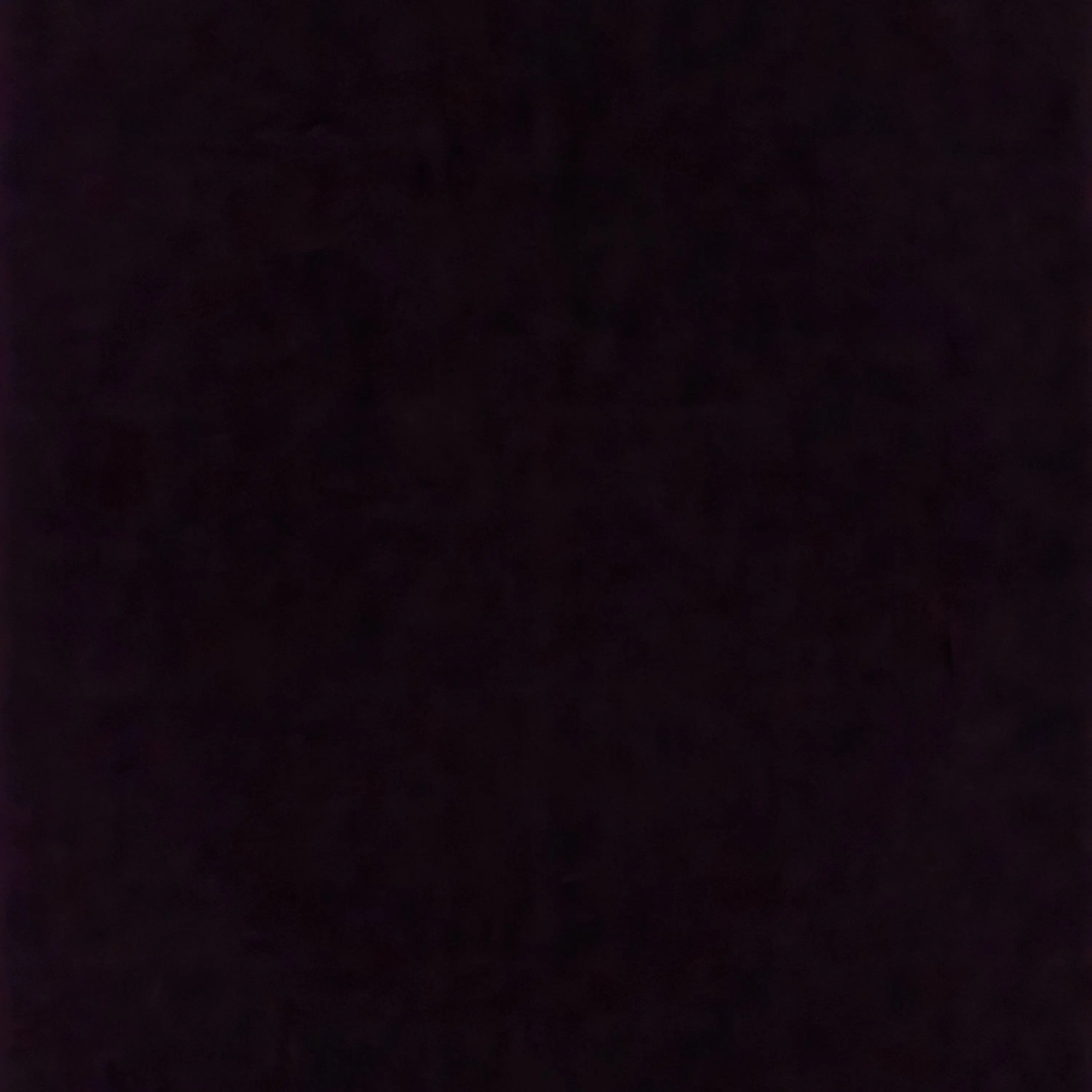 carat._.wooyoon의 제발.....