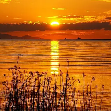 Profile image of 박덕개