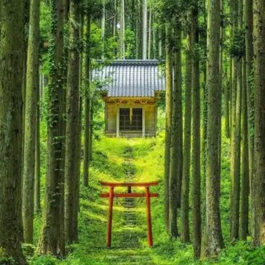 Profile image of いちご大福