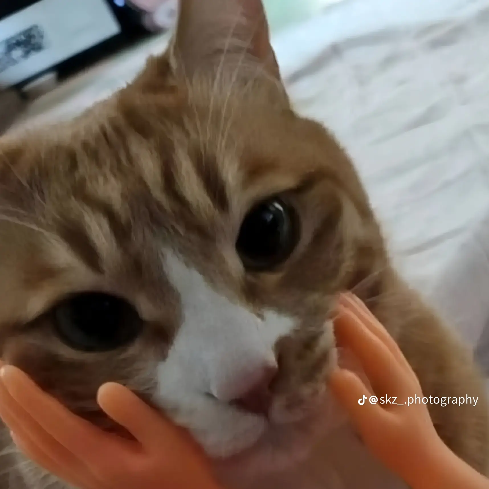 FoulVideo2592의 이민호