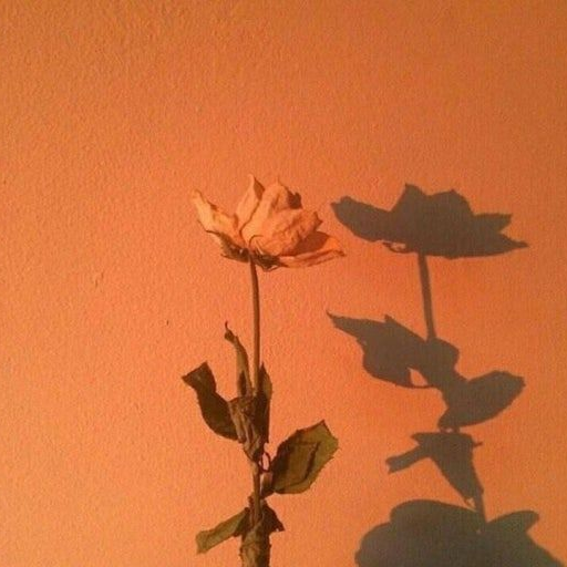 아는 동생이 20살 되더니 들이데요. 대표 이미지