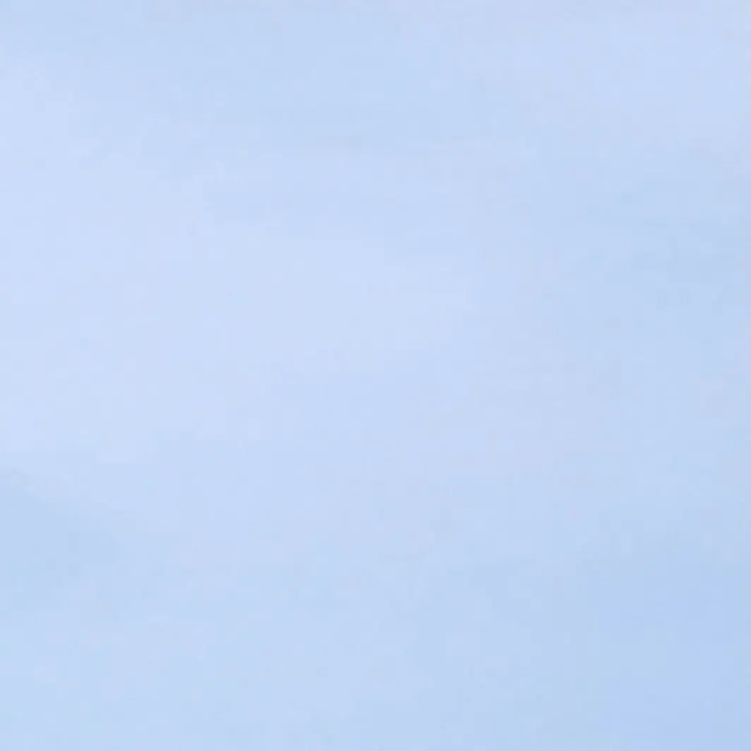 SleepyFrond9735의 猫獣人の飼い主は人気のFischer's