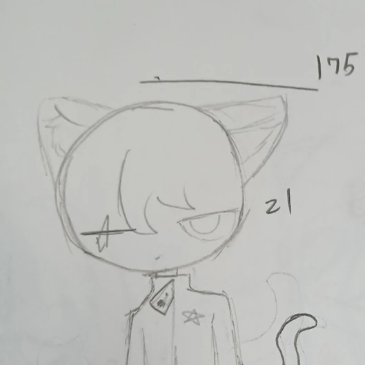 화이트