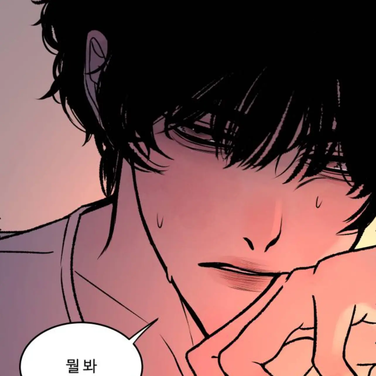 9533의 정도윤