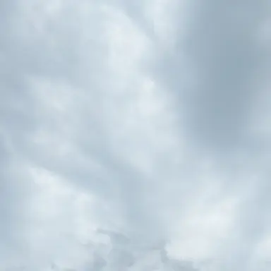 Profile image of 이안