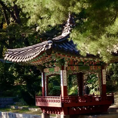 Profile image of 왕은
