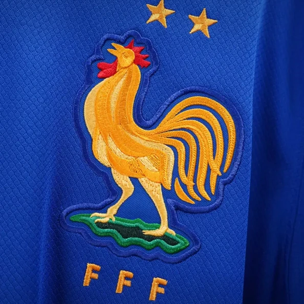 프랑스 축구협회장