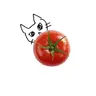 Profile image of 내레이터