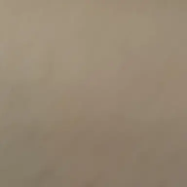 Profile image of ブリ子