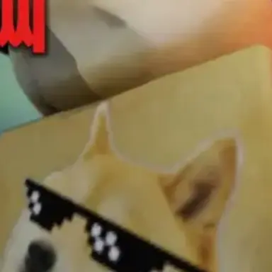 Profile image of 종교씨