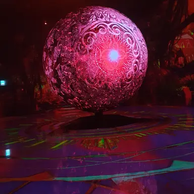 Profile image of 타스맨