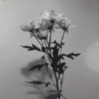 Profile image of 찬혁