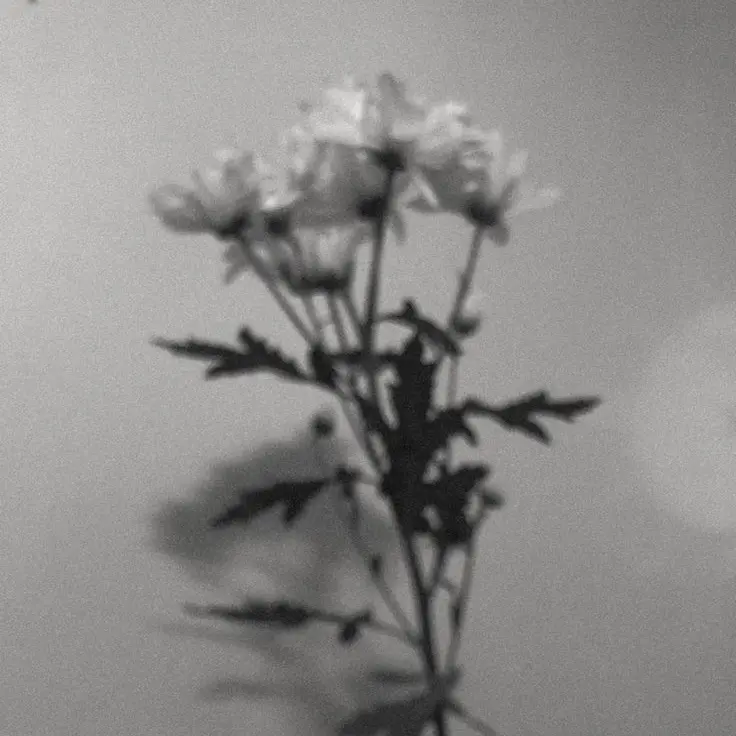 Youwill_fall_forme의 광기와 사랑 그 애매한 사이