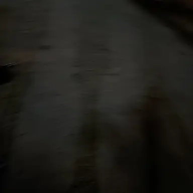 Profile image of Erik