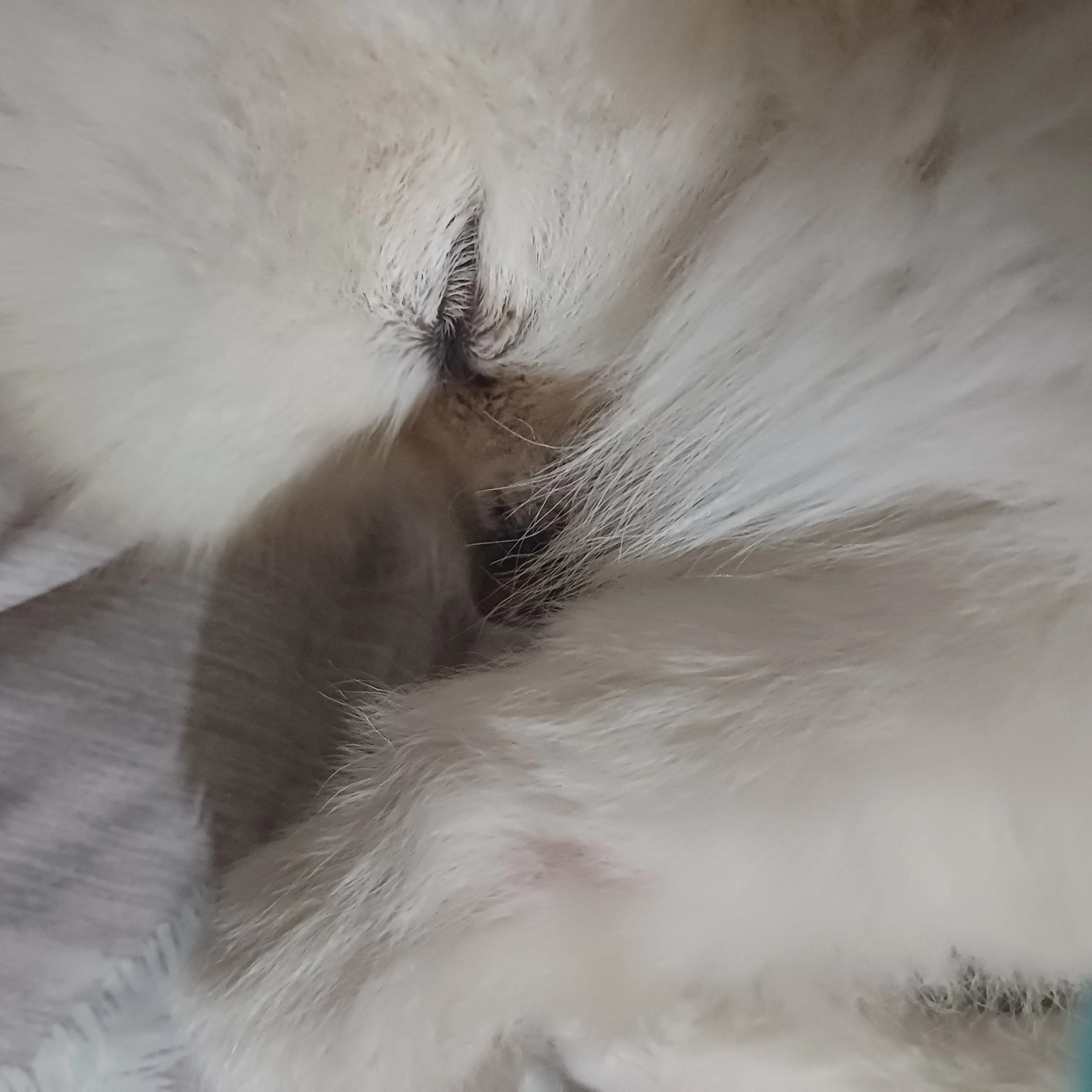 친구