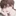 연하언