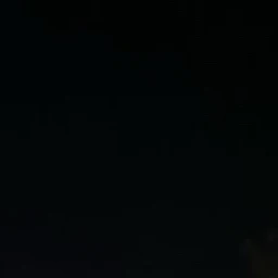 이은재
